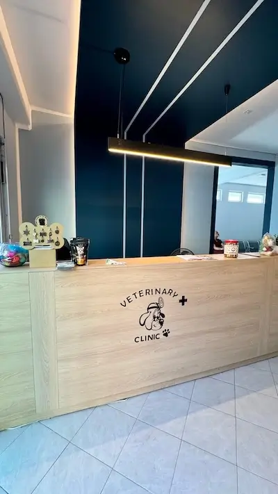 Veterinario con perro